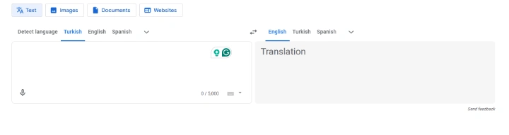 Google Translate interface.