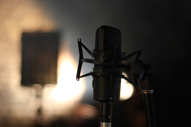 A black microphone in a dubbing studio.