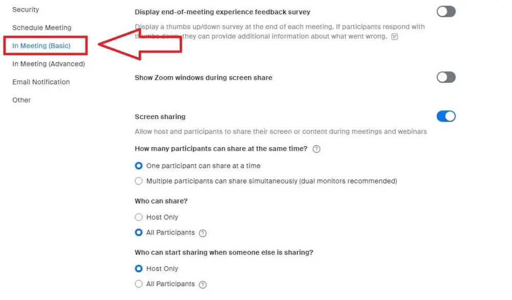 Choose "In Meeting (Basic)".