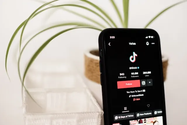 A black smartphone showing the TikTok profile of TikTok.