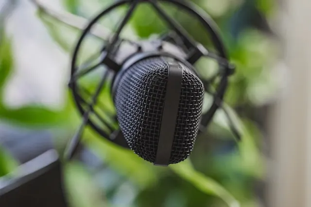 Close up of a microphone.