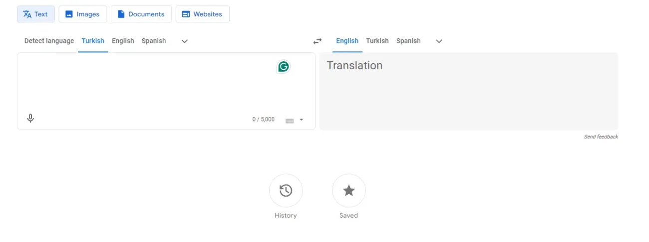 Google translate interface.