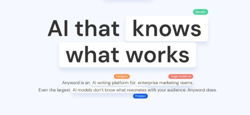 Anyword focuses on improving marketing effectiveness.