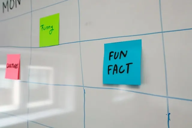 A blue post-it with "Fun Fact" written on it.