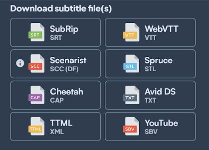 The format options Maestra offers for subtitles.