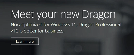 Web page of Dragon Professional.